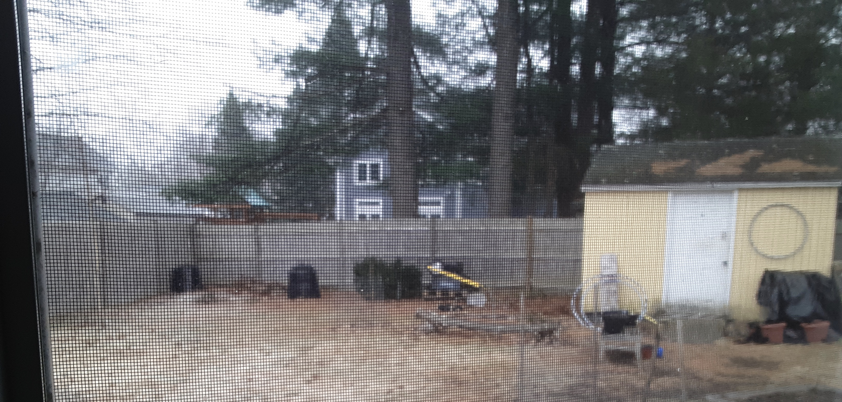 Backyard view thru window screen