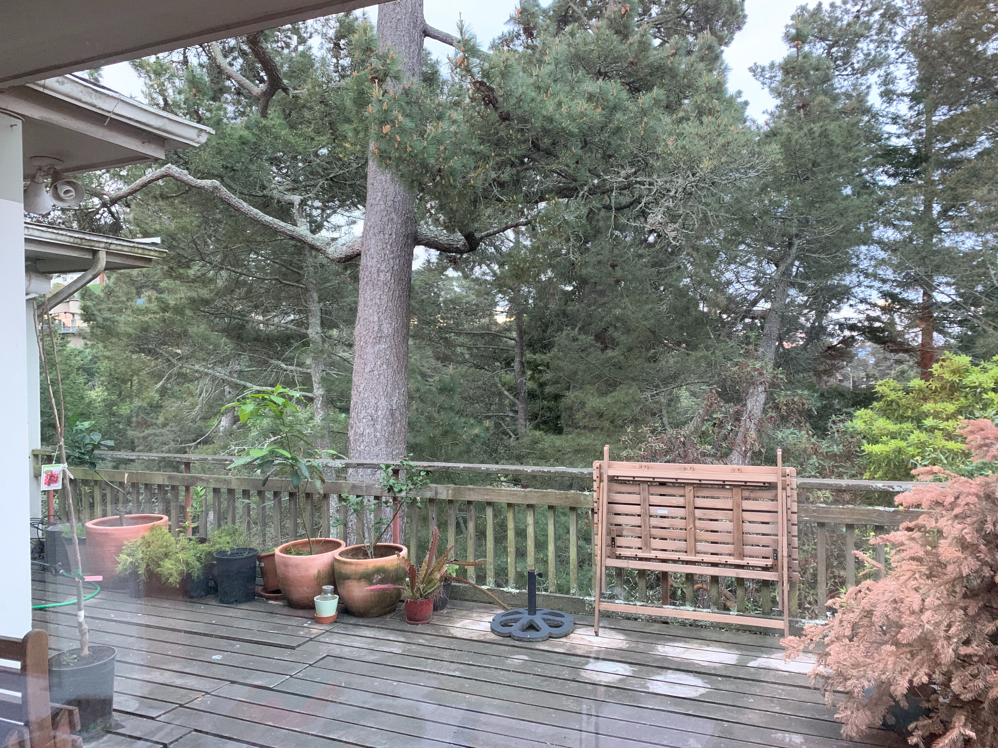 Backyard porch with bench by the tree