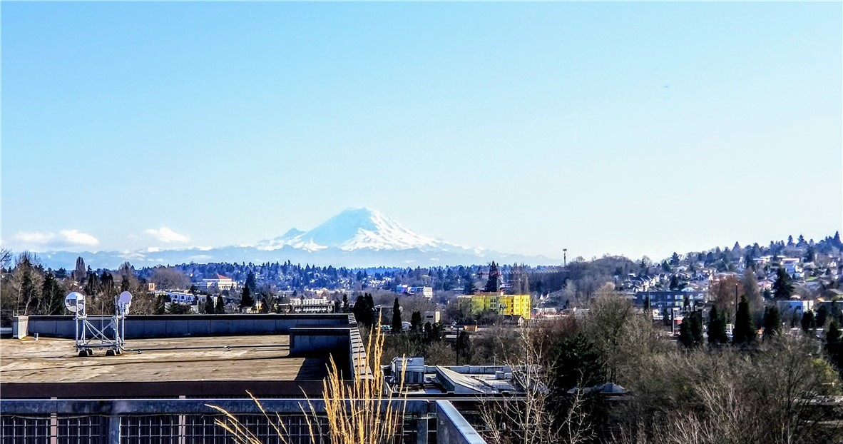 Mountain Rainier in the distant